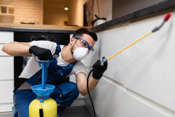 Best Residential Pest Control  in Rogue River, OR