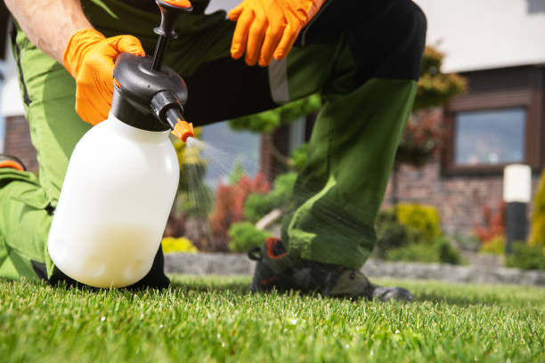 Best Insect Control  in Rogue River, OR