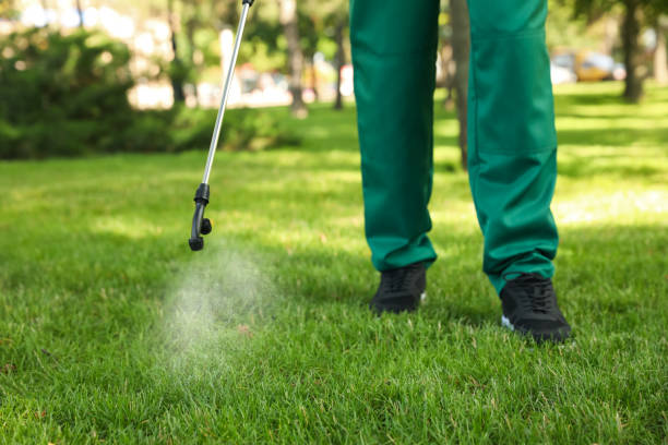 Professional Pest Control in Rogue River, OR